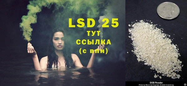 бошки Бородино