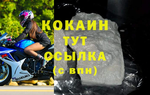 индика Богданович