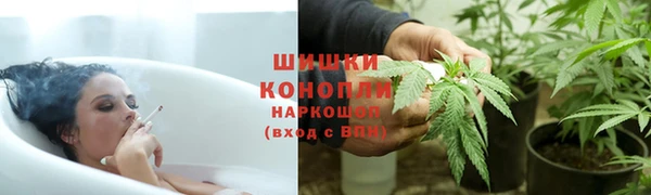 бошки Бородино