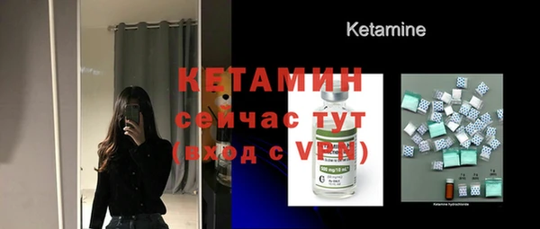 индика Богданович