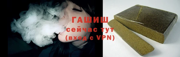 индика Богданович
