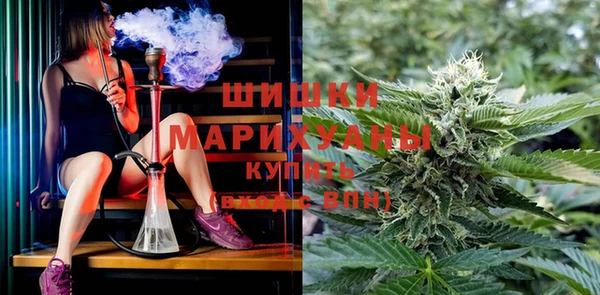 бутират Богородицк