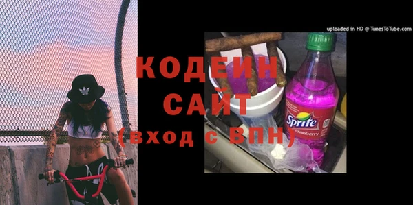 индика Богданович