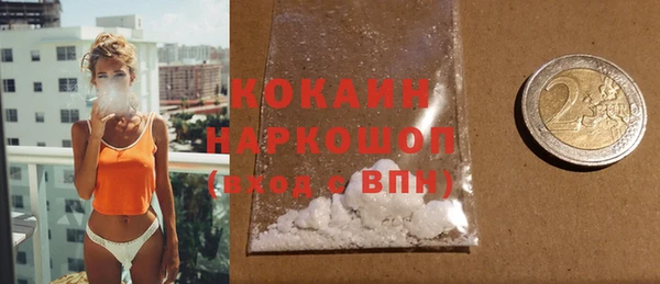 индика Богданович