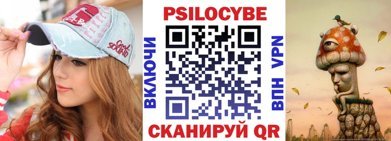 Псилоцибиновые грибы Psilocybine cubensis  блэк спрут ТОР  Ельня 